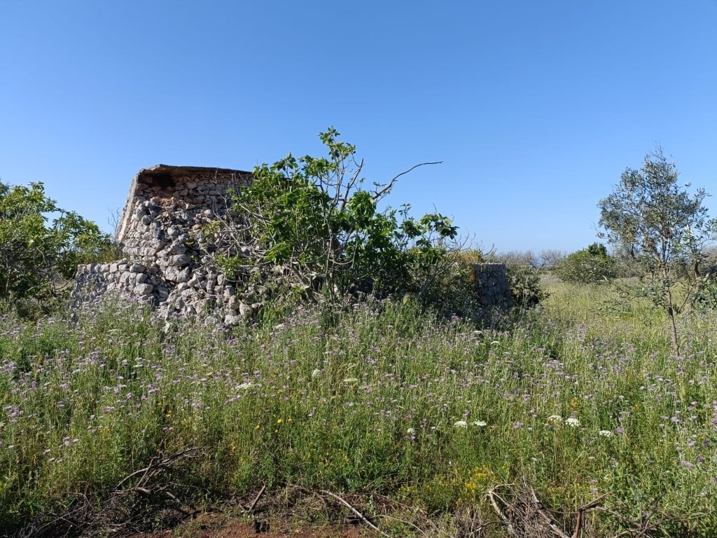 Giano Group Immobiliare